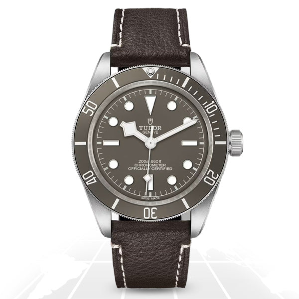 Tudor	Black Bay 58 925	M79010SG-0001