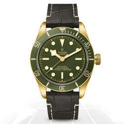 Tudor	Black Bay 58 18K	M79018V-0001