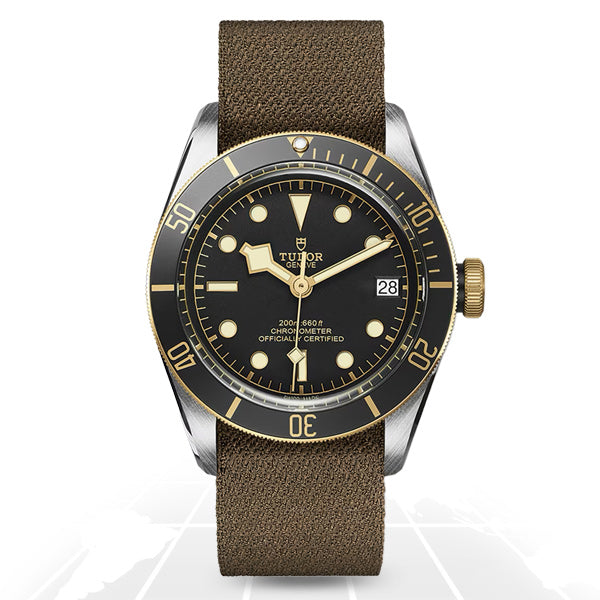 Tudor	Black Bay SG	M79733N-0005