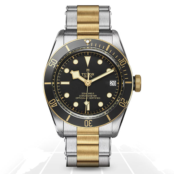 Tudor	Black Bay SG	M79733N-0008